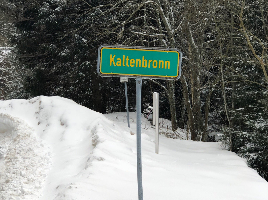 Infozentrum Kaltenbronn景点图片