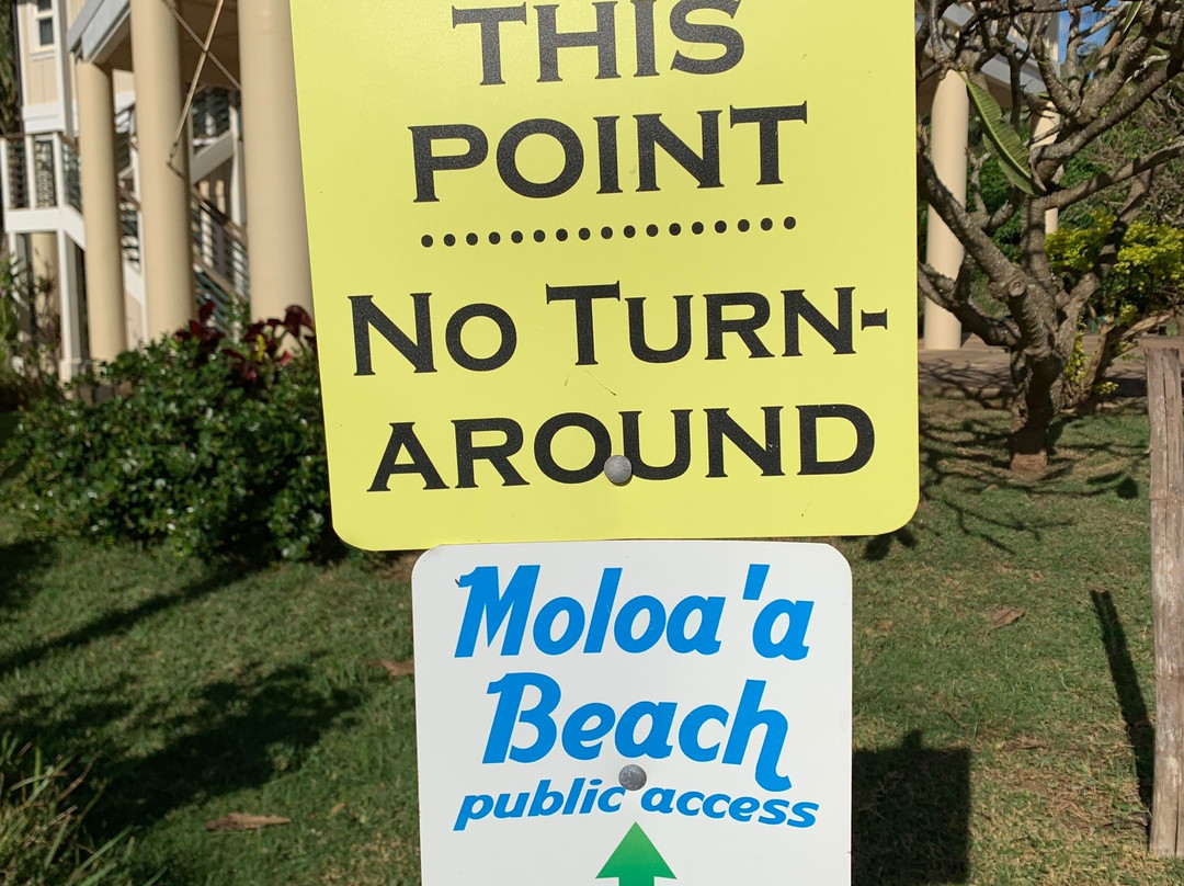 Moloa'a Beach景点图片