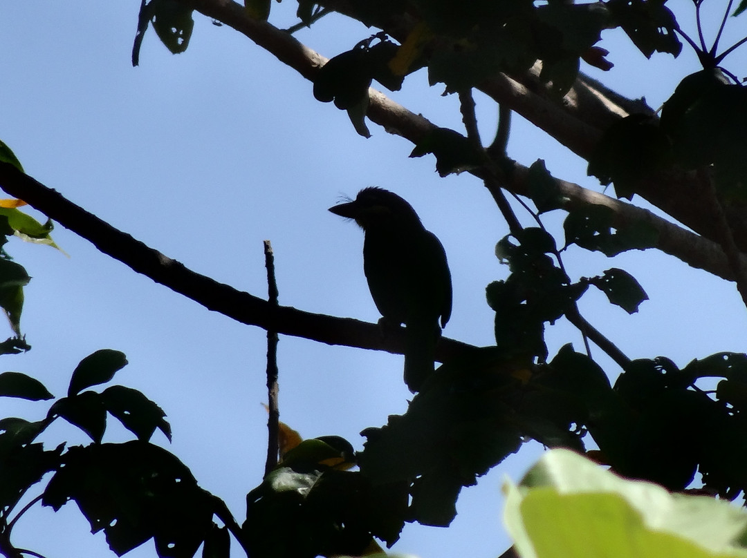 Blooming Bay - Clifftop Beach Resort主图