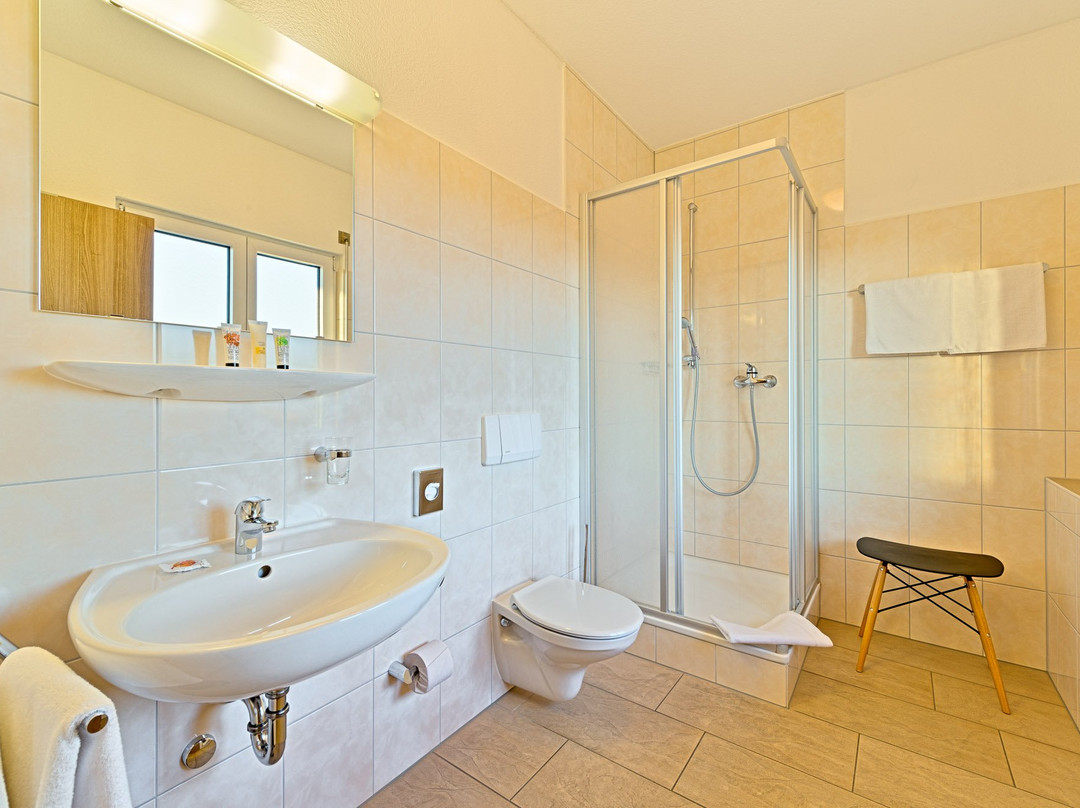 Sapia Hotel St. Fridolin主图