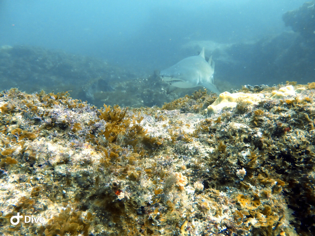 African Watersports-Umkomaas必去景点