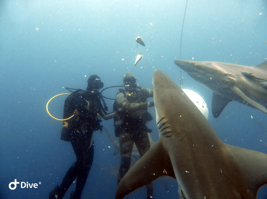 African Watersports-Umkomaas必去景点