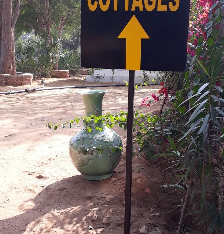 White Mushroom - Rissala Polo Tiger Camp主图