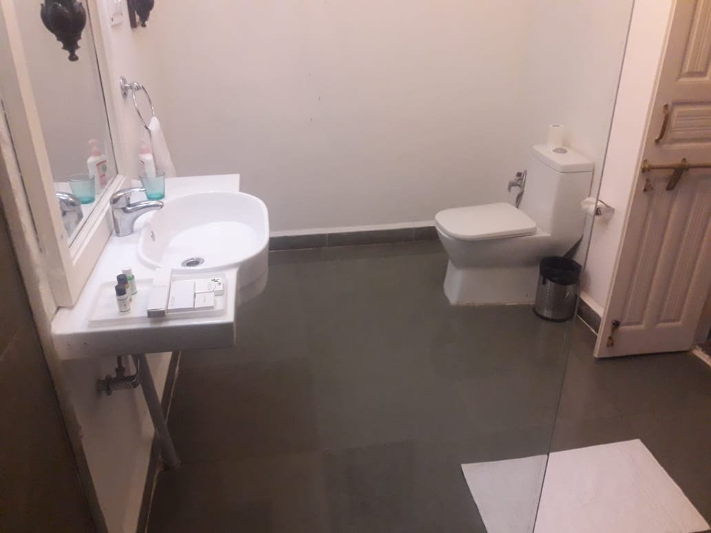 White Mushroom - Rissala Polo Tiger Camp主图