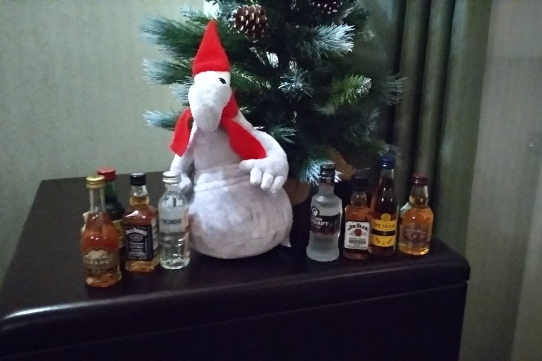 Mini-Hotel Chaplin主图