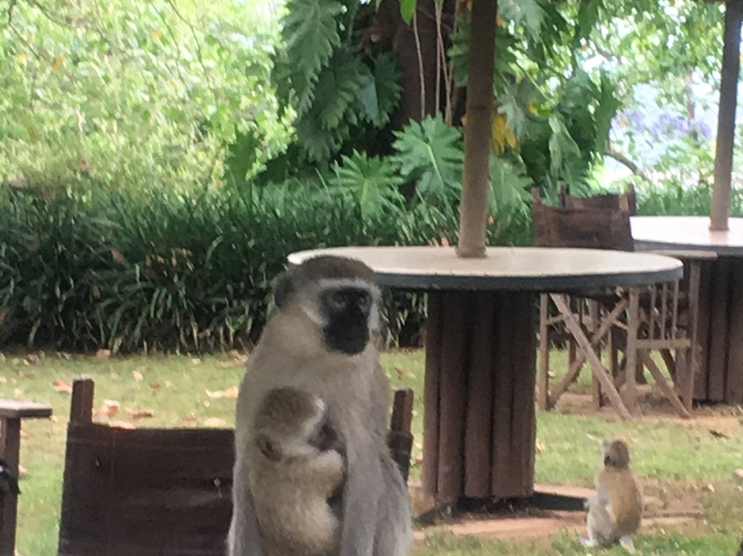 Kigongoni Lodge Arusha主图