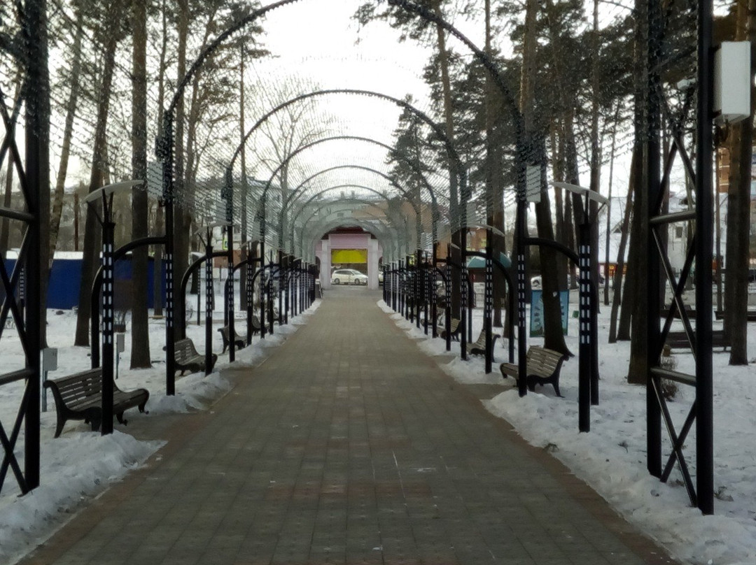 Amur Oblast旅游攻略图片