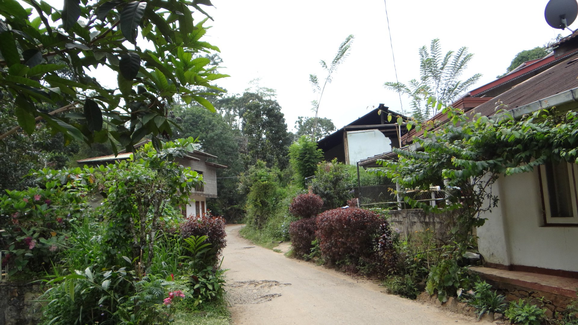 Sinharaja Green Homestay-浴室