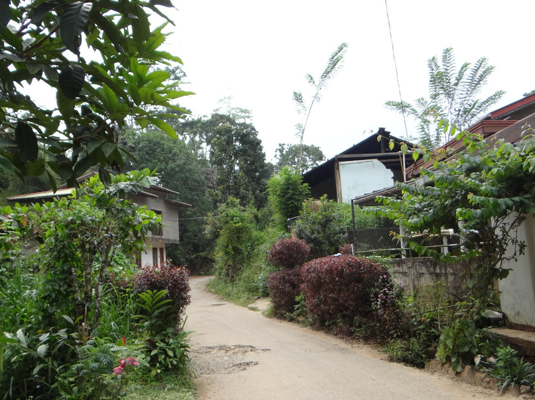 Sinharaja Green Homestay主图