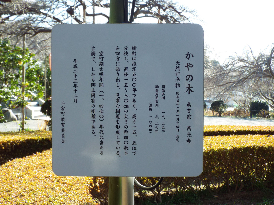 Saiko-ji Temple-二宫町必去景点