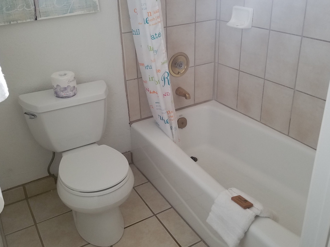 The Jack London Lodge主图