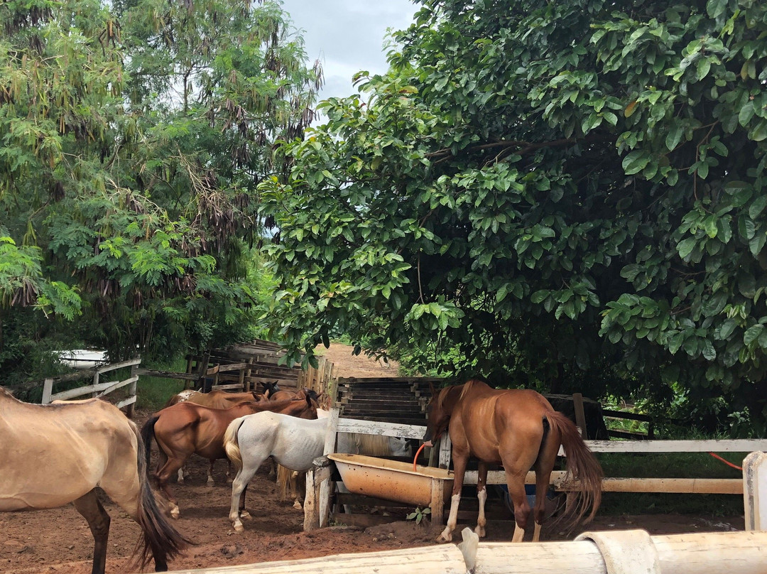 Rancho do Kajuba-Sao Pedro必去景点