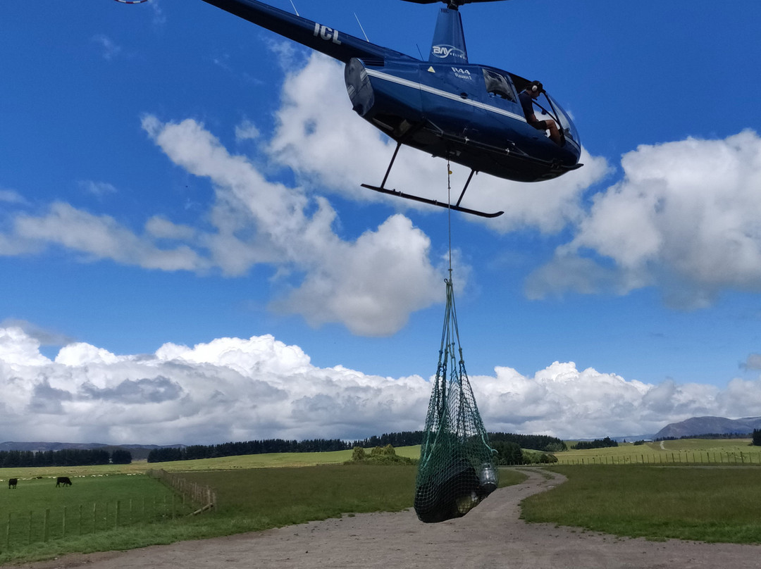 Bay Heliwork景点图片