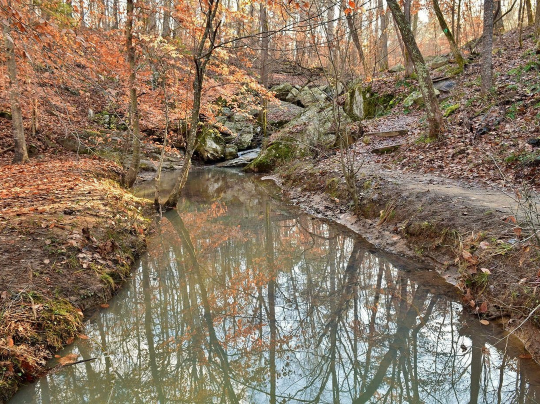 Cedarock Park-伯灵顿必去景点