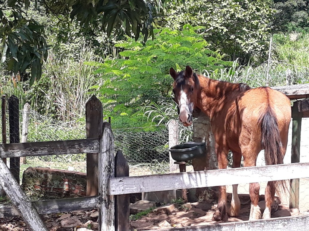 Lagoa Seca-Sao Lourenco必去景点