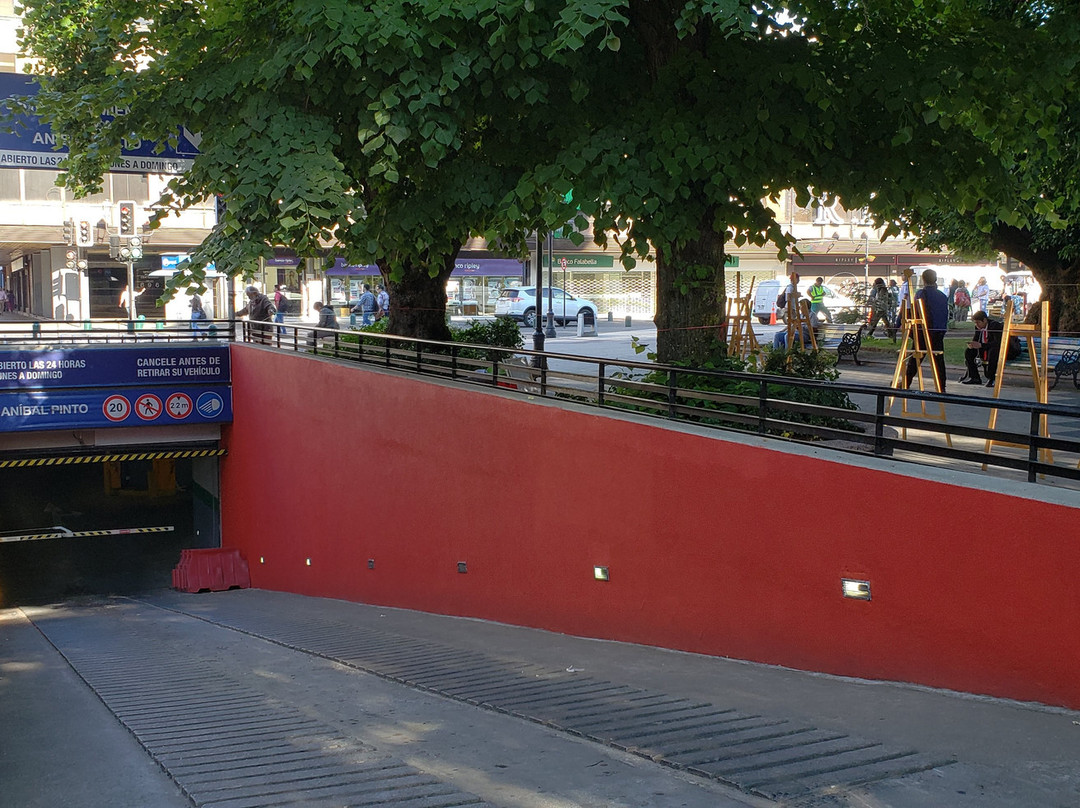 Plaza Anibal Pinto-特木科必去景点