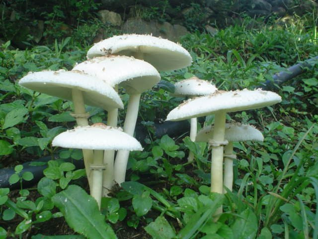 EcoLodge "La Bonita"主图