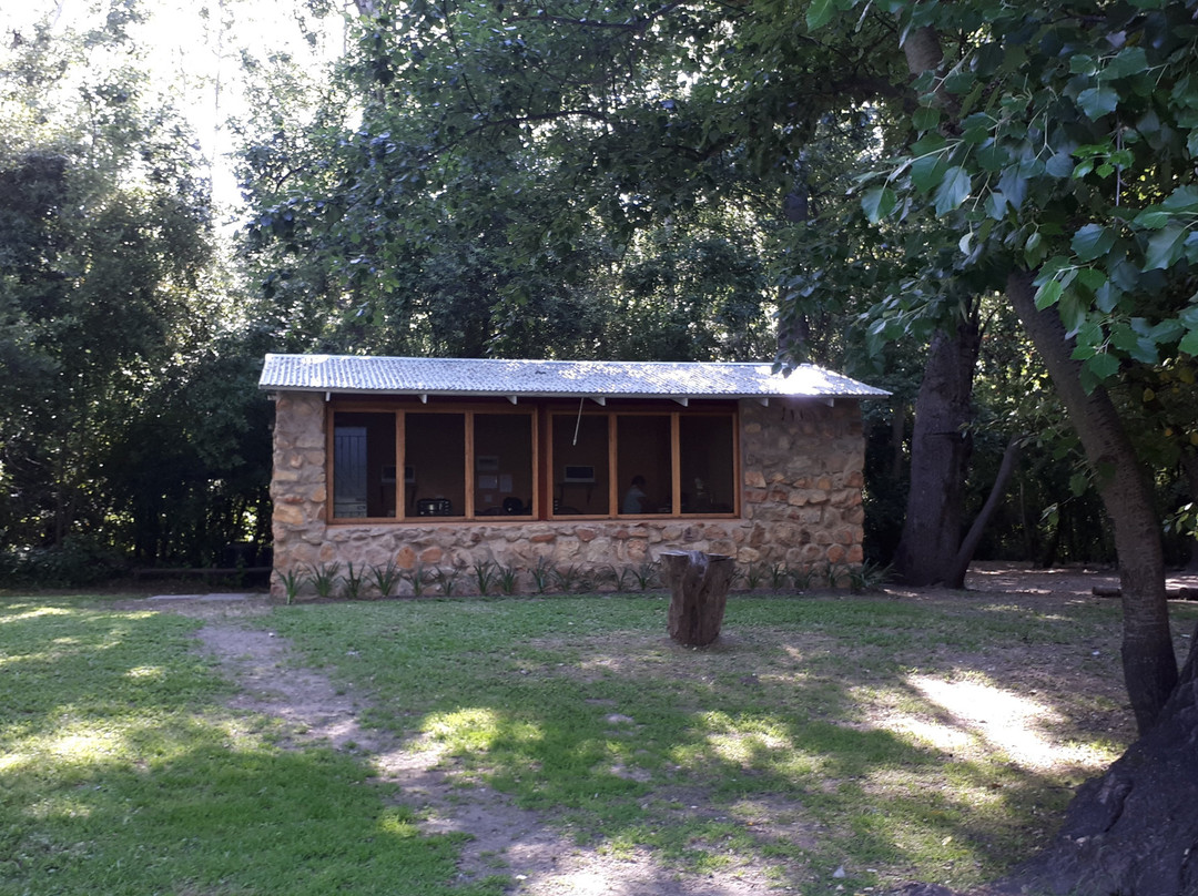 Kardouw Country Retreat - Tree Tops主图