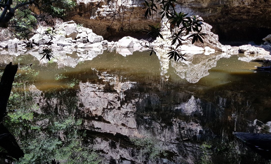 Mitchell River Walking Track景点图片