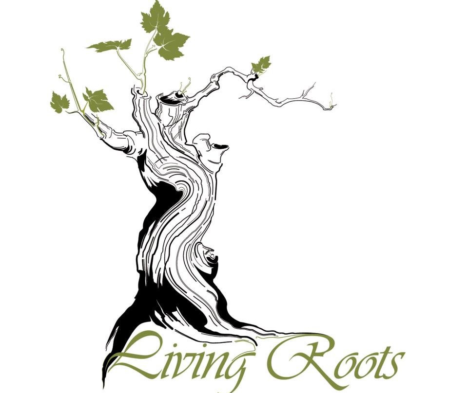 Living Roots Travel景点图片