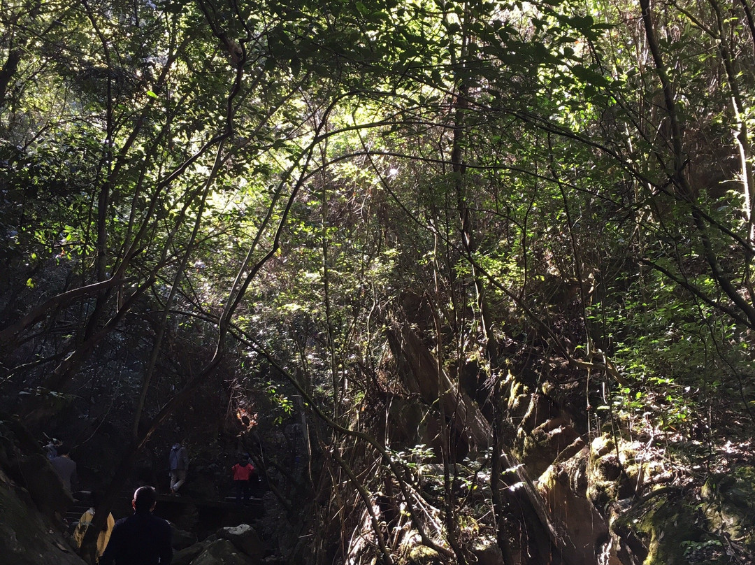 千岛湖森林氧吧-淳安县必去景点