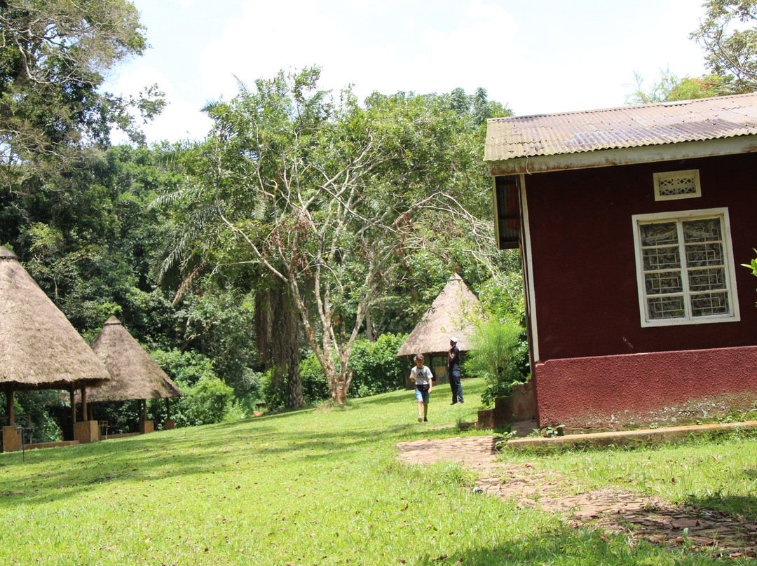 Mpanga Central Forest Reserve-坎帕拉必去景点