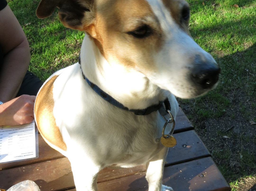 Tsitsikamma Lodge & Spa主图