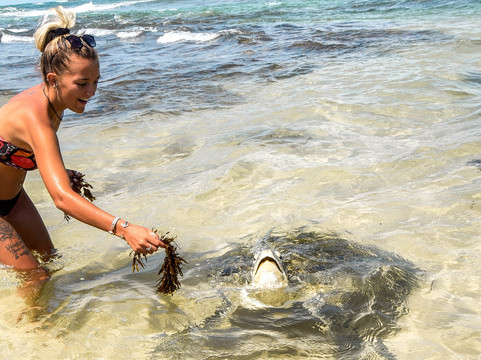 Hi Hawaii Travel-火奴鲁鲁必去景点