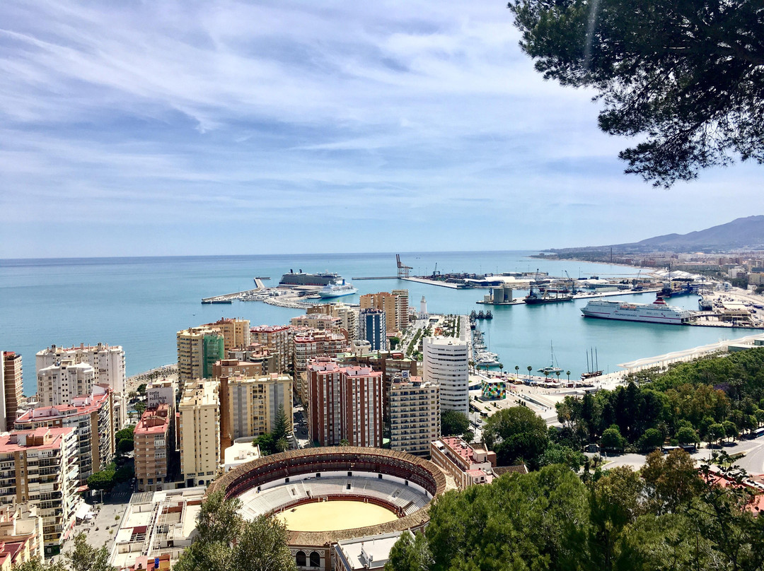 Malaga Private Day Trips景点图片