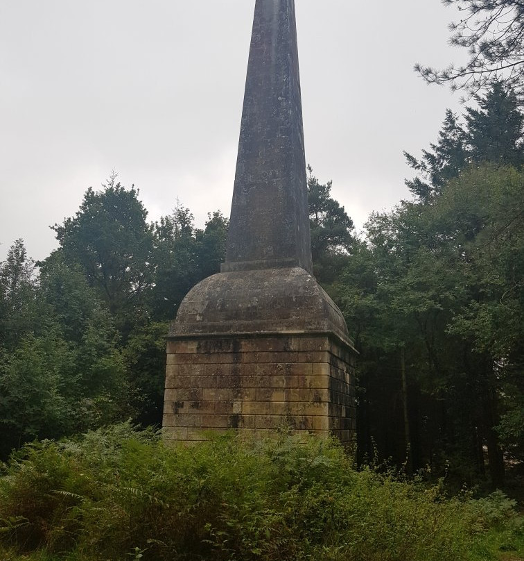 Mamhead-道利什必去景点