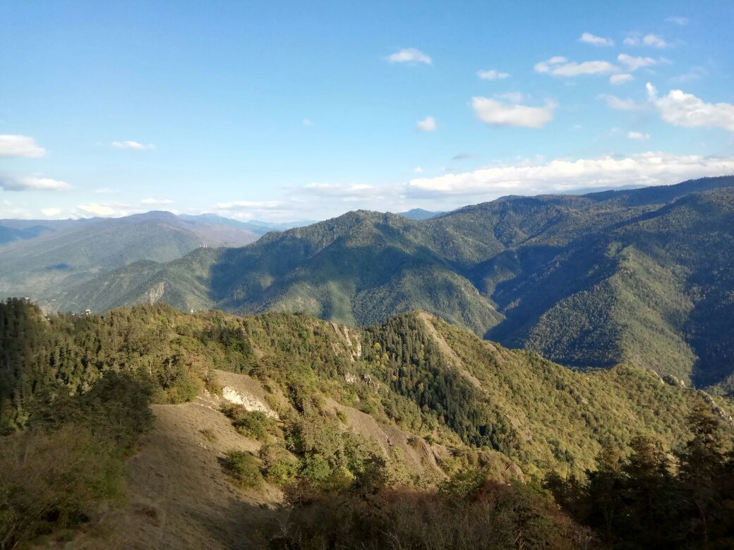 Borjomi旅游景点-Borjomi-Kharagauli National Park