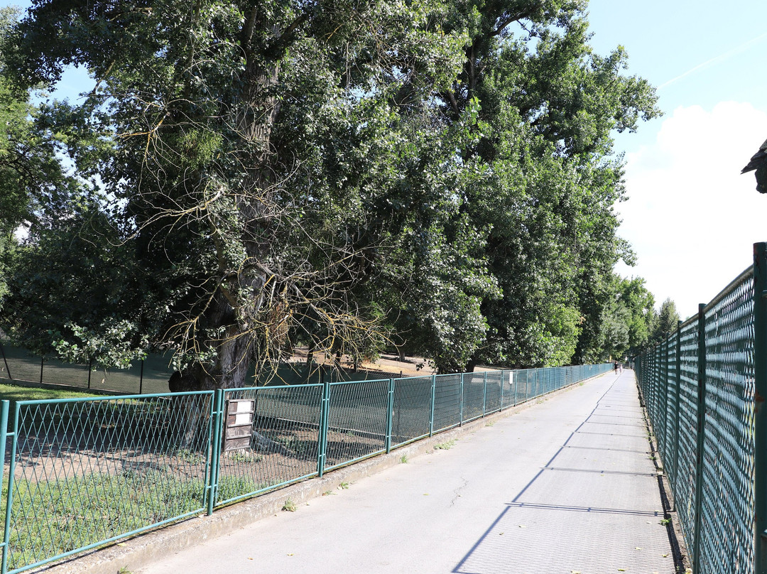 Osijek Zoo-奥西耶克必去景点