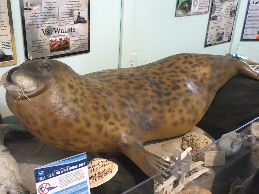 Marine Mammal Stranding Center景点图片