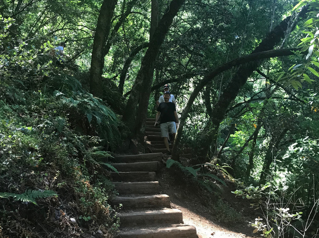 Cataract Falls-Fairfax必去景点