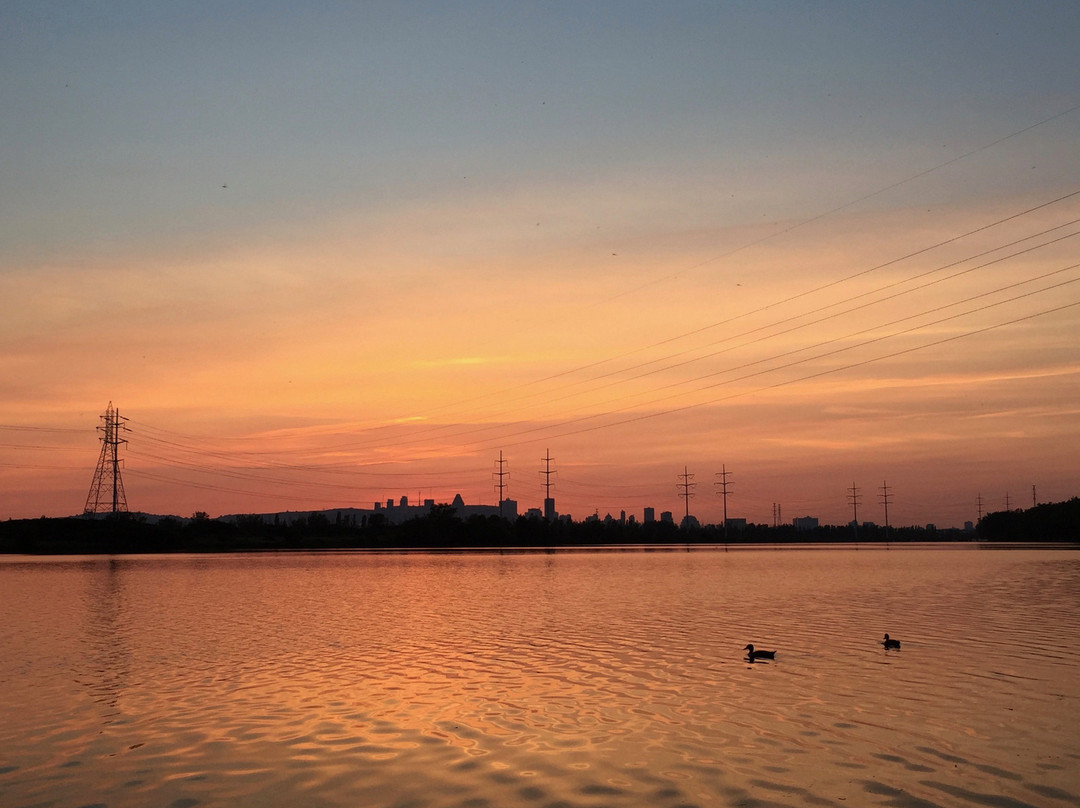 Motel Du Fleuve主图