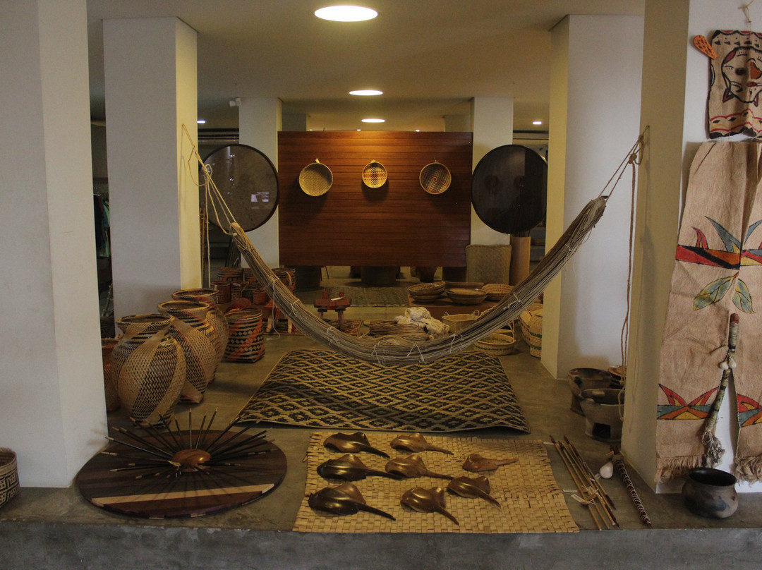 Galeria Amazonica-玛瑙斯必去景点