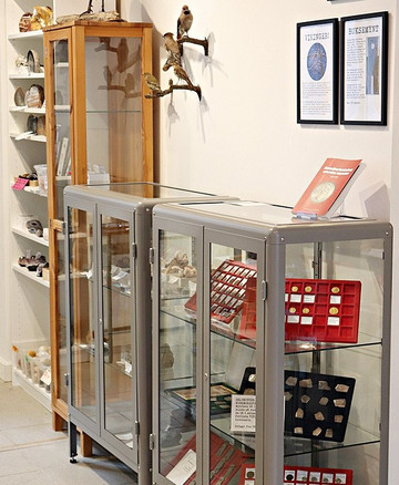 Naturens Mangfold & All Verdens Mynter-奥斯陆必去景点