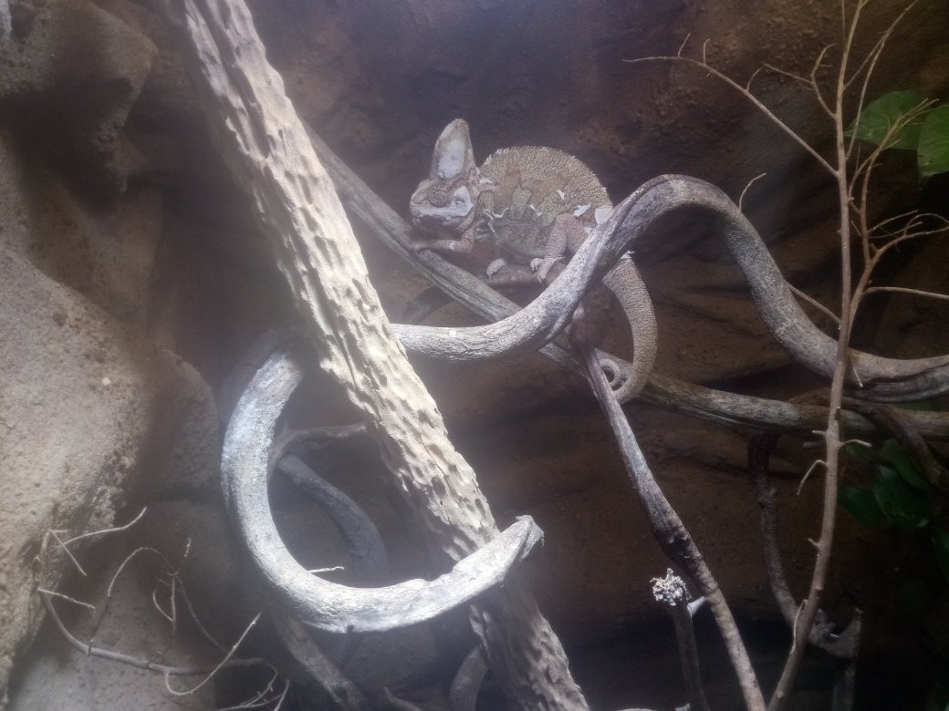 Chleby旅游攻略图片