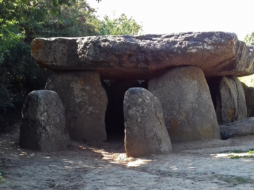 Dolmen de la Frébouchère景点图片