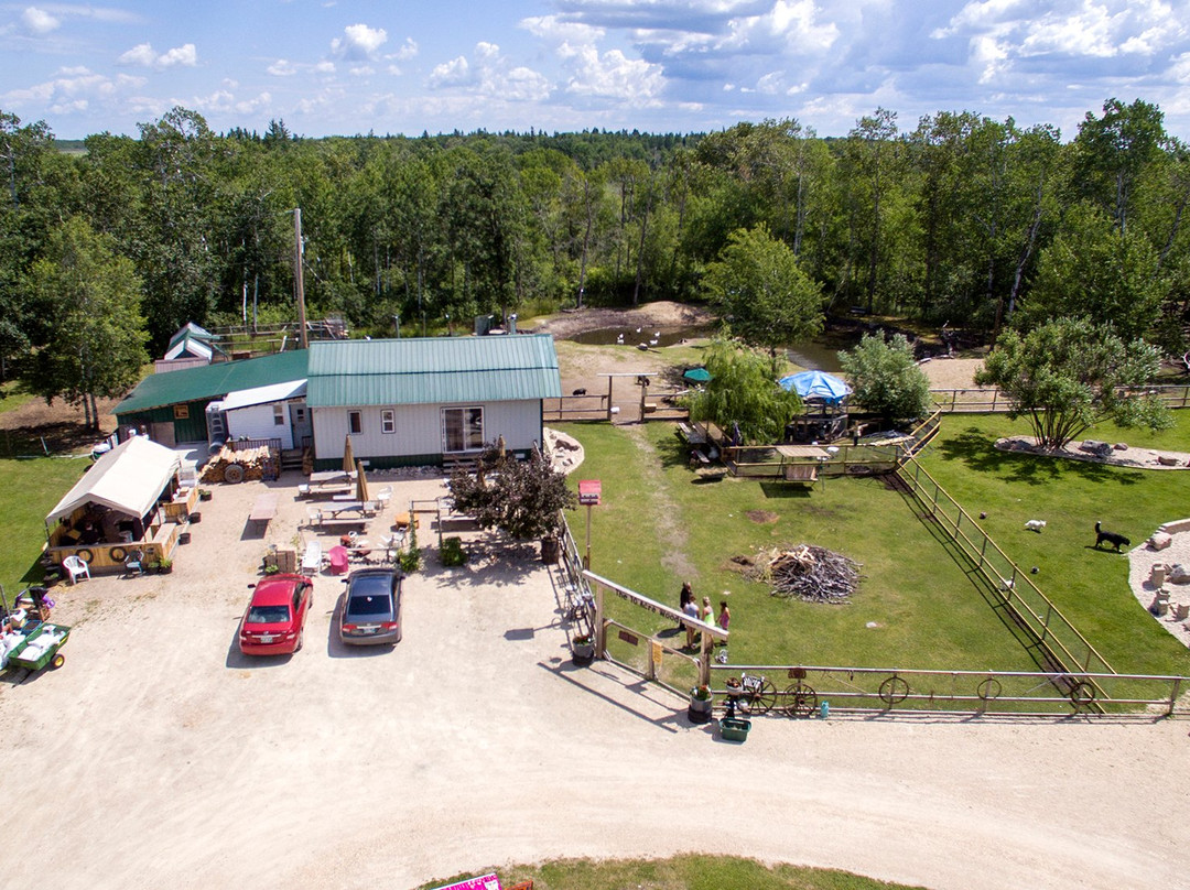 The 10 Acre Woods-Anola必去景点