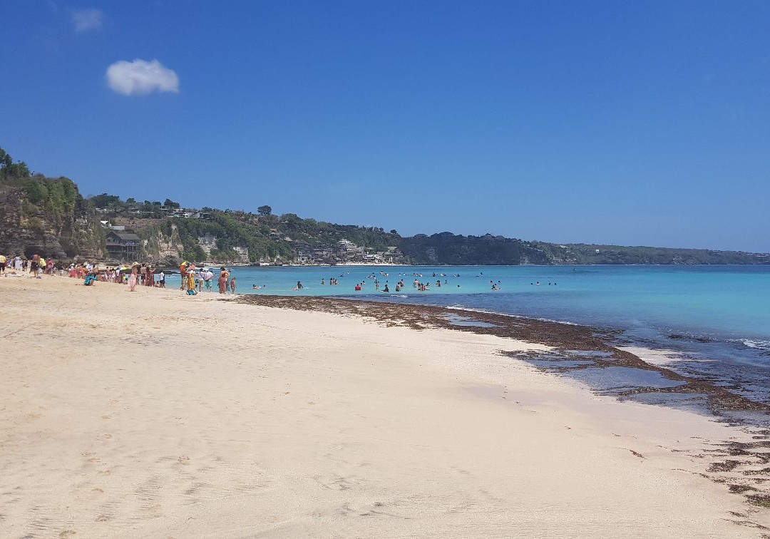 Dreamland Surf School-培卡图必去景点