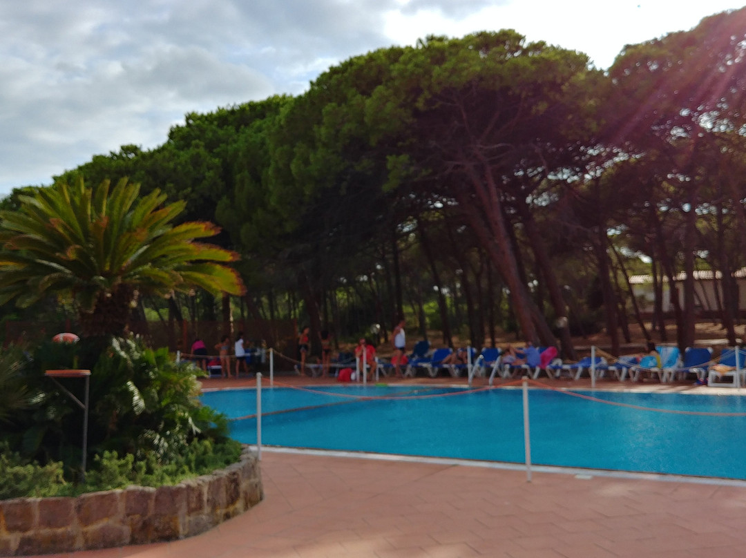 Aurum Hotel - Villaggio dei Pini主图