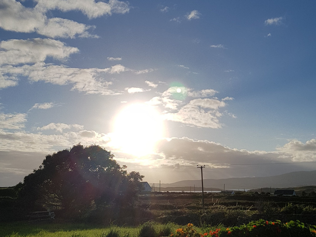 Heir Island-Skibbereen必去景点