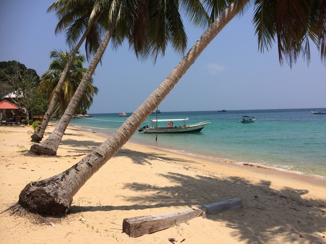 Marina Bay Resort & Restaurant主图