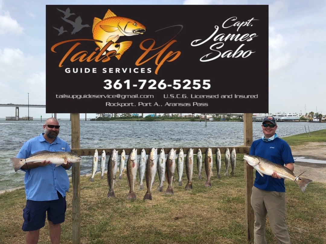 Tails Up Guide Service-Ingleside必去景点