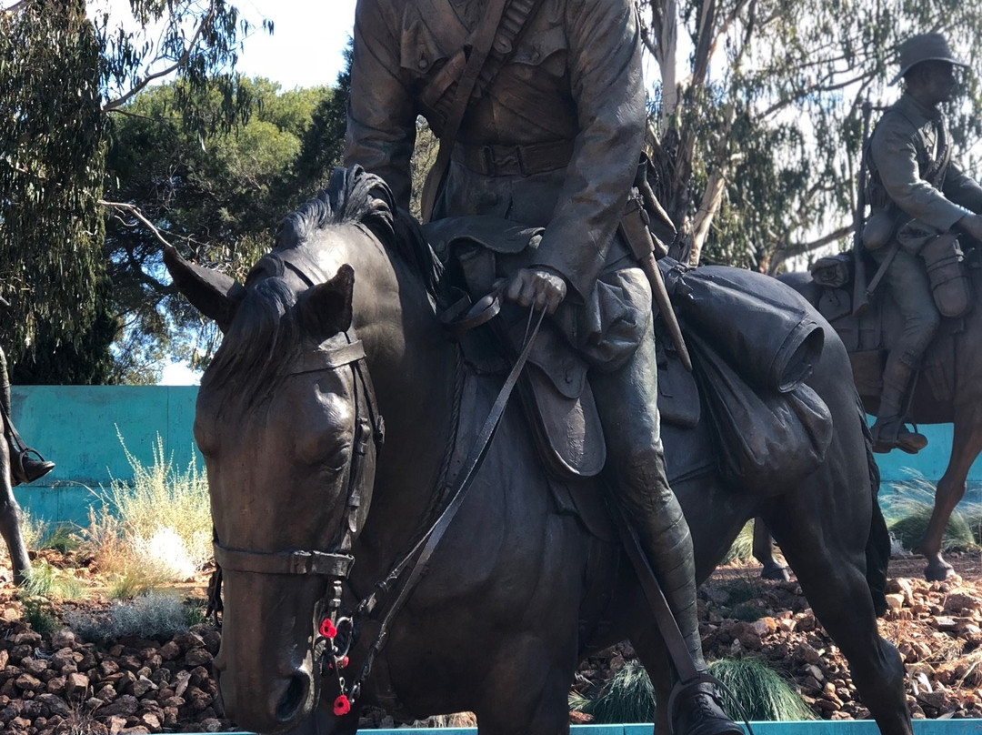 Mulga Bicycle Tours-堪培拉必去景点