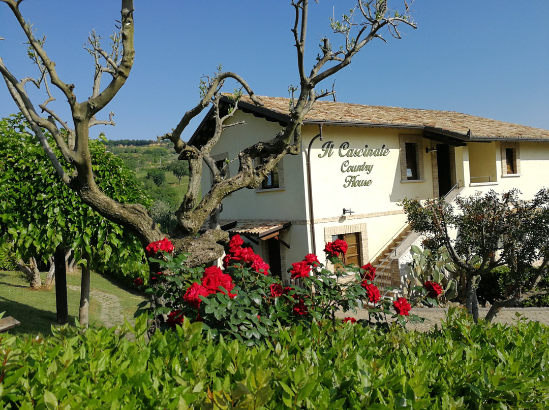Country House Il Cascinale主图