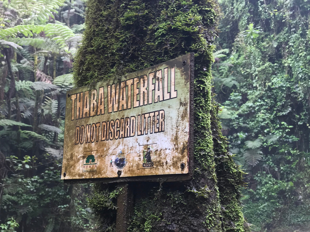 Gatamaiyu Forest-Kikuyu必去景点