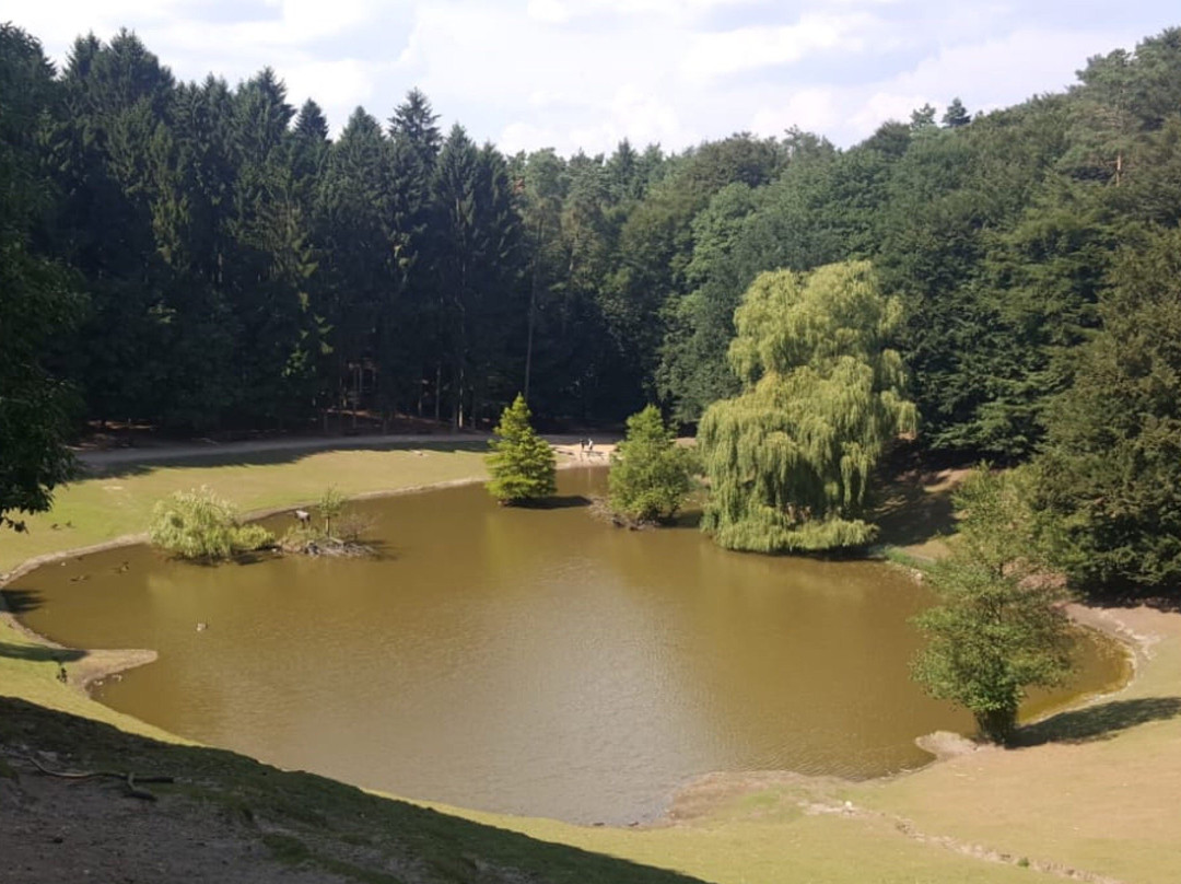 罗森加滕旅游攻略图片