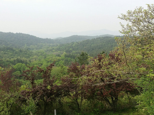 将军山-南京市必去景点